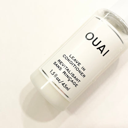 Leave in Conditioner Mini